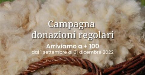 CI SIAMO - CAMPAGNIA DONAZIONI REGOLARI - Sheep Italia